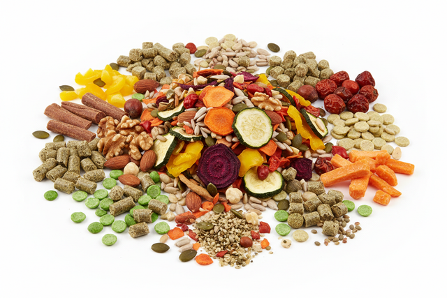 Gryzonie - Przysmaki