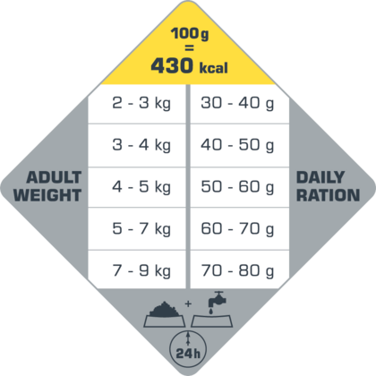 Cat Adult 2,5kg - karma dla dorosłych kotów