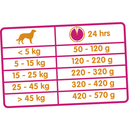 Classic Dog Lamb & Rice 20kg - karma dla psów dorosłych z jagnięciną