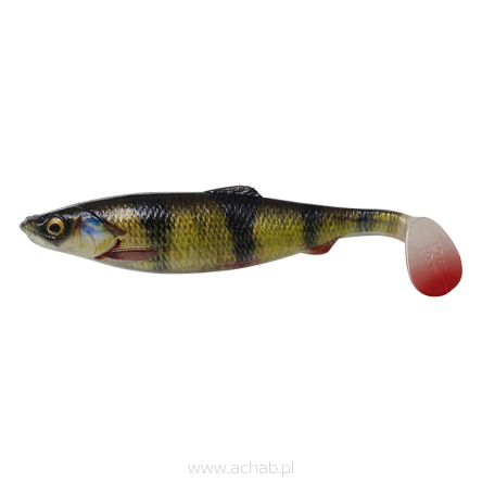 Herring Shad 4D Savage Gear 11cm / 9g KOLOR PERCH OKOŃ
