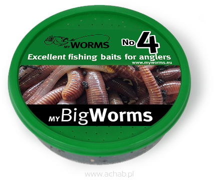 ROBAK CZERWONY ROZMIAR 4