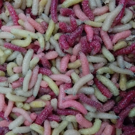 Robak Wędkarski Pinka Mix małe opakowanie 100ml