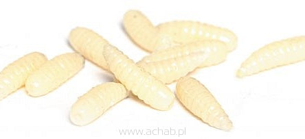 Sztuczny Biały Robak Lucky John 30szt