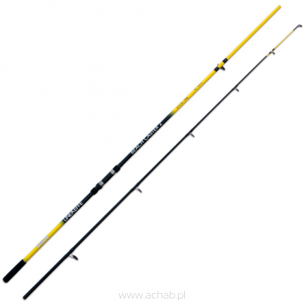 Wędka Lineaeffe Beach Caster2 na SUMA, KARPIA lub MORZE