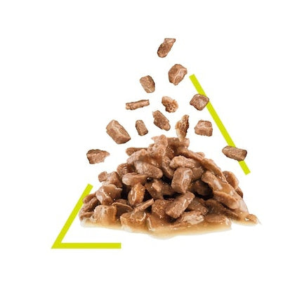 ROYAL CANIN SENSORY SMELL MOKRA KARMA KOTA 12x85G