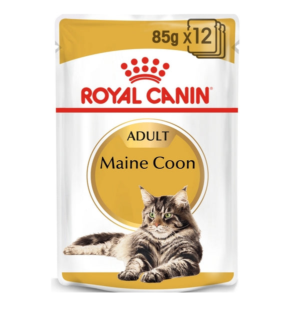 ROYAL CANIN maine coon adult 12x85g saszetki