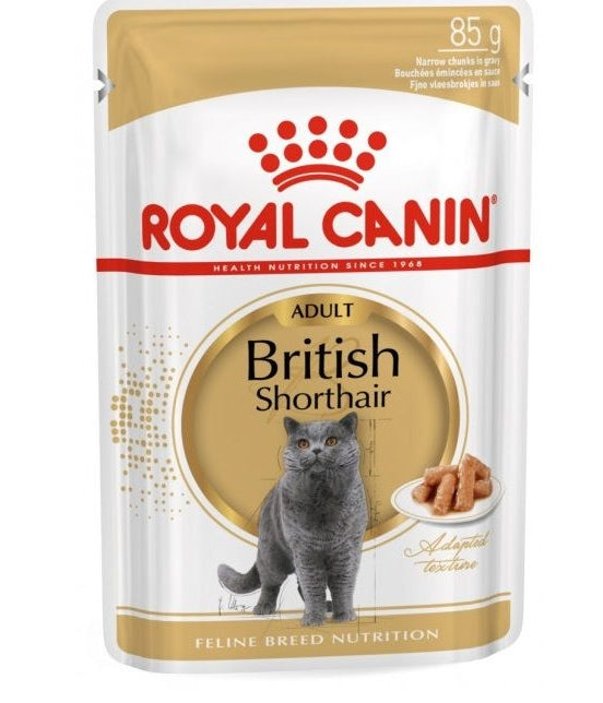 Royal Canin British Shorthair Adult 12x85 g saszetki