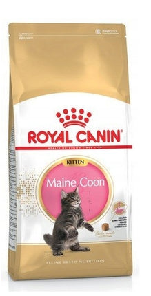 Royal Canin Maine Coon Kitten karma sucha mix 4kg