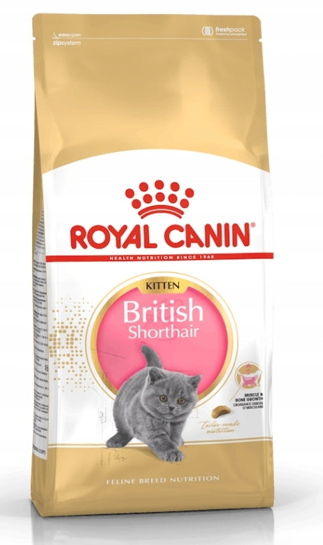 Royal Canin karma sucha kurczak 0,4 kg British Shorthair