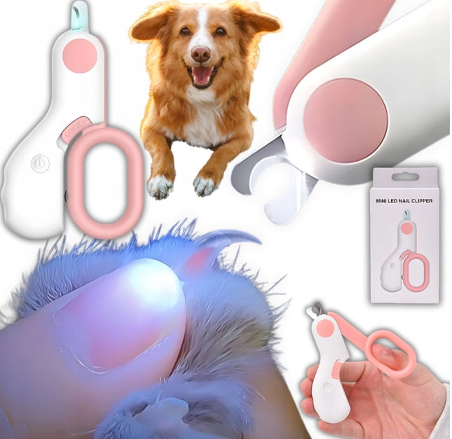 OBCINACZKI PIES KOT PROFESJONALNE LED PORZĄDNE