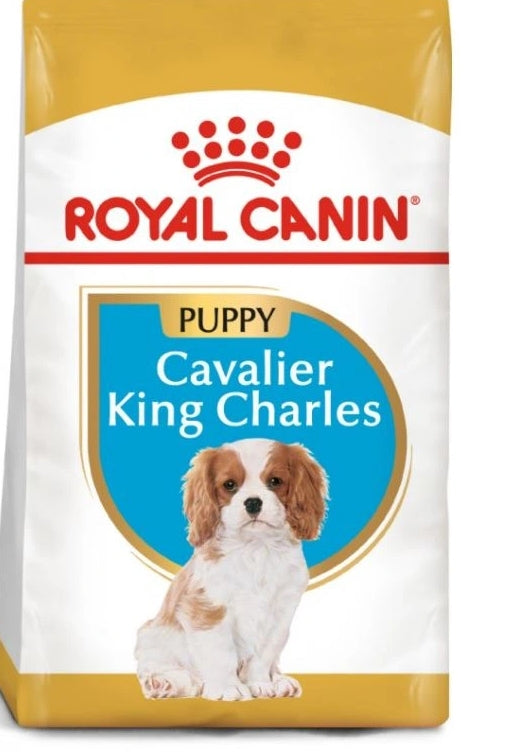 Royal Canin Cavalier King Charles Puppy 1,5 kg