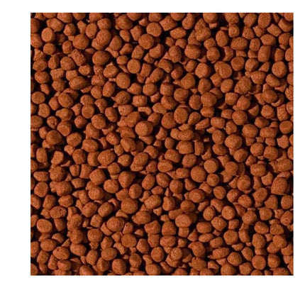 Tropical Pokarm dla średnich, dużych gatunków mięsożernych pielęgnic 1000ml