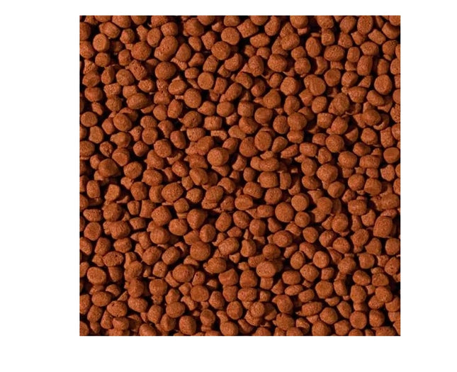 Tropical Pokarm dla średnich, dużych gatunków mięsożernych pielęgnic 1000ml