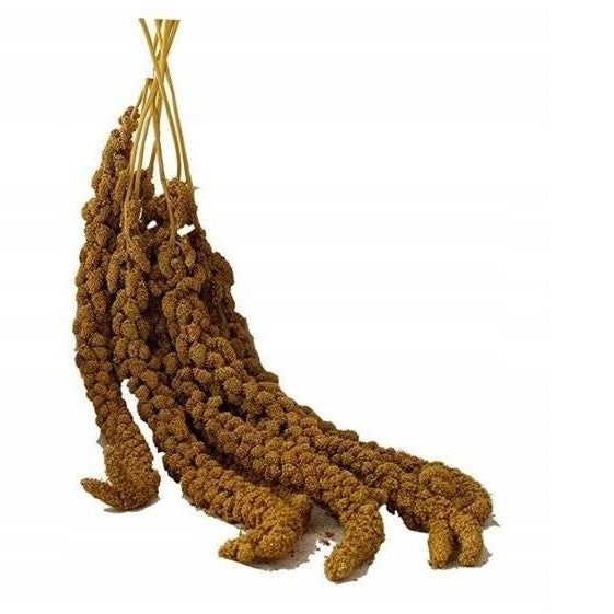 VERSELE-LAGA Milletsprays proso żółte w kłosach 300g